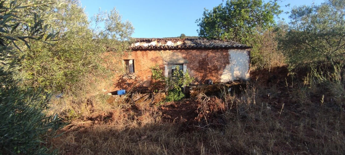 Terreno para Venda em Alte Foto 6