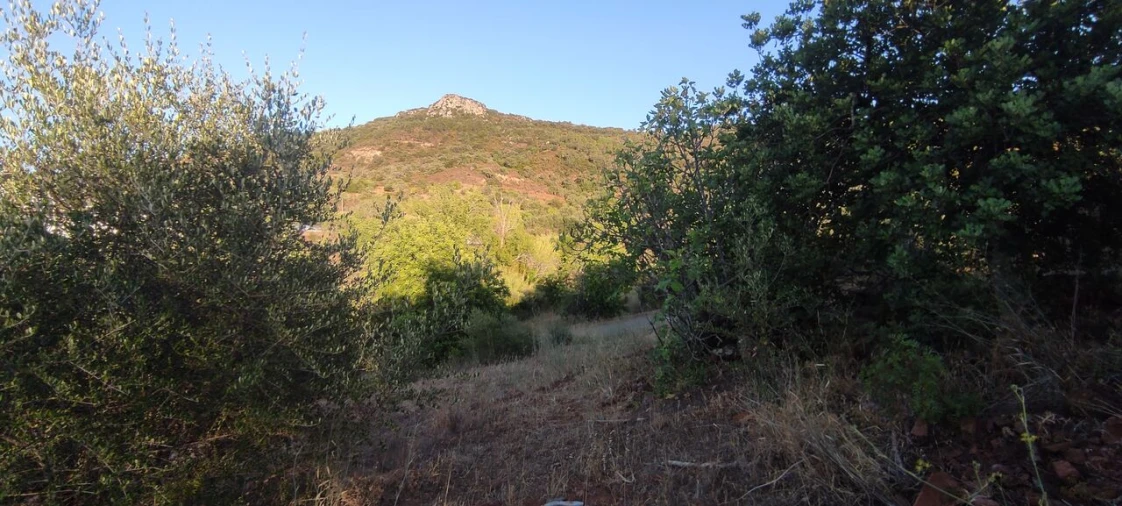 Terreno para Venda em Alte Foto 8