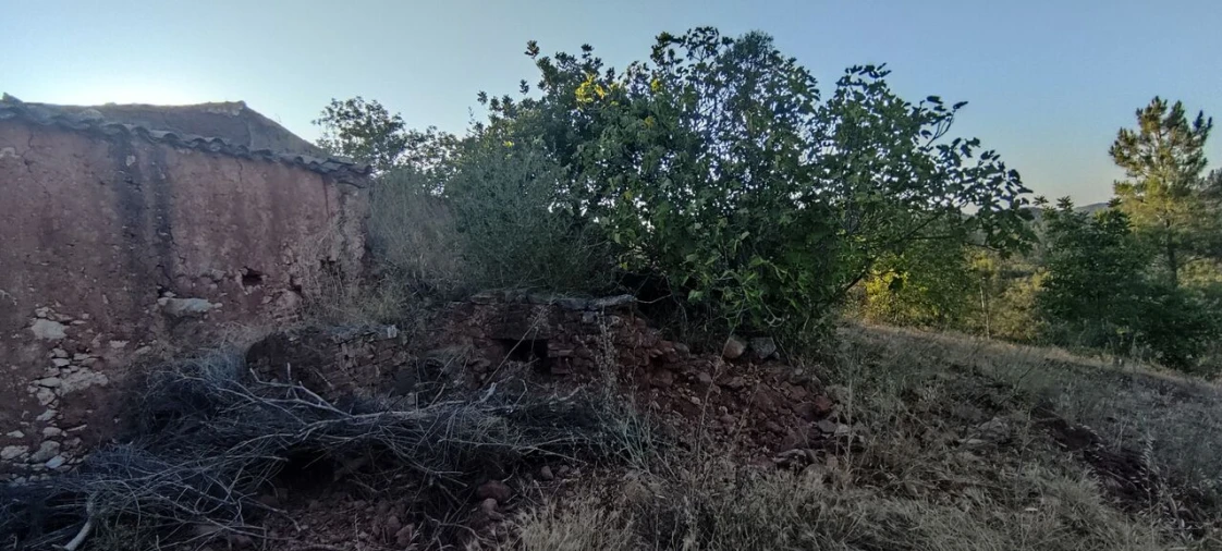 Terreno para Venda em Alte Foto 9