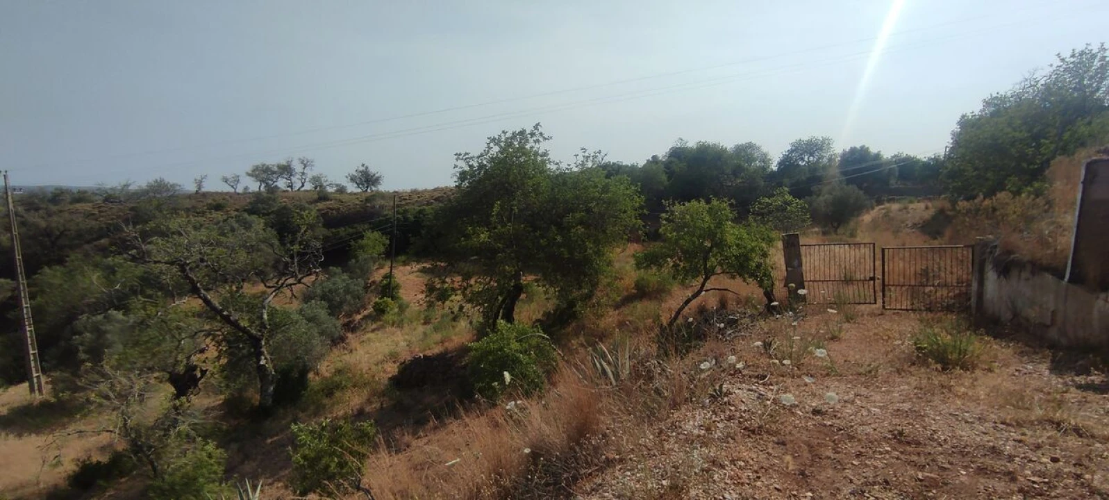 Terreno para Venda em Alte Foto 3