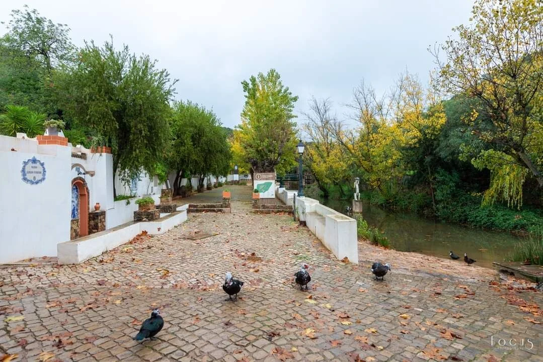 Terreno para Venda em Alte Foto 7