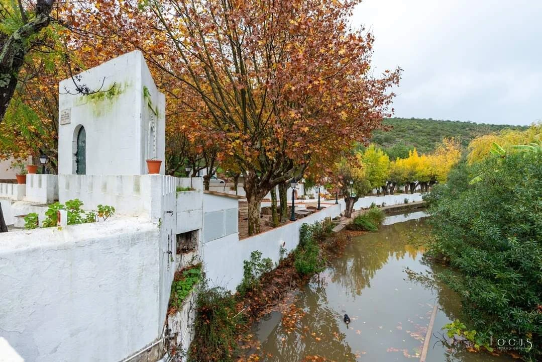 Terreno para Venda em Alte Foto 8