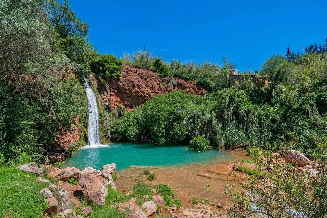 Terreno para Venda em Alte Foto 10
