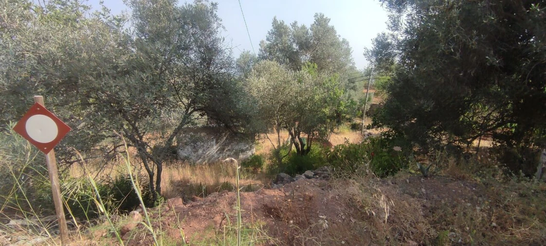 Terreno para Venda em Alte Foto 4