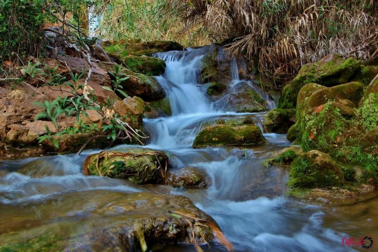 Terreno para Venda em Alte Foto 9