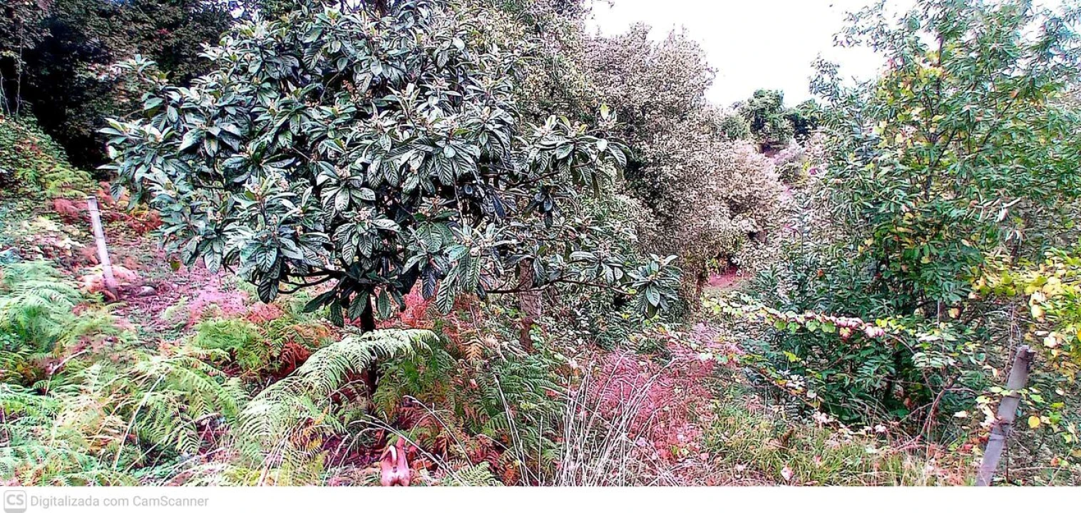 Quinta T3 para Venda em Merufe Foto 4