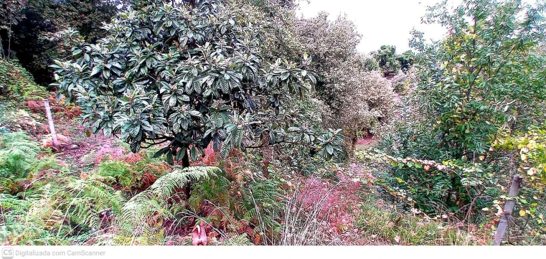 Quinta T3 para Venda em Merufe Foto 4