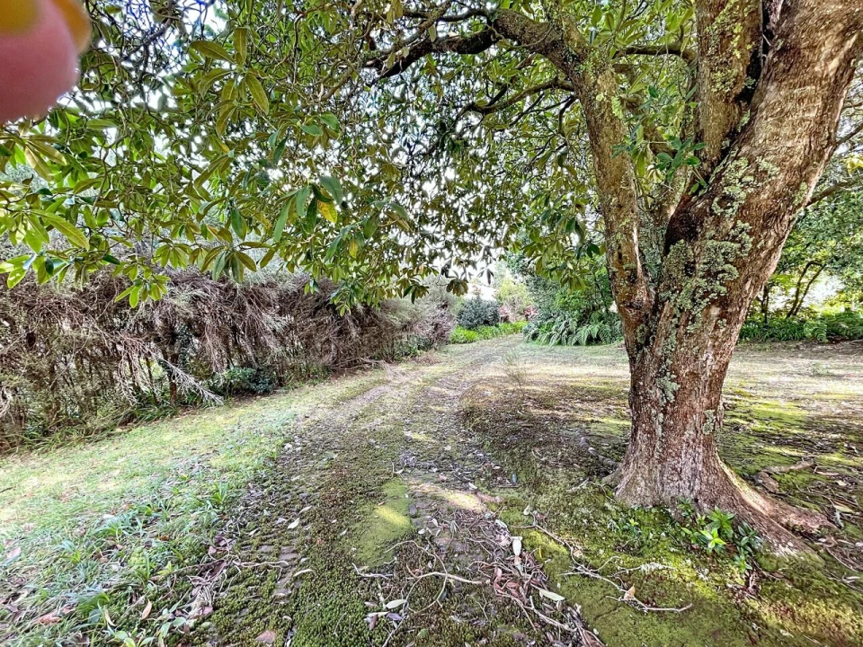 Moradia T5 para Venda em Santo Antonio da Serra Foto 6