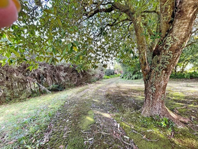 Moradia T5 para Venda em Santo Antonio da Serra Foto 6
