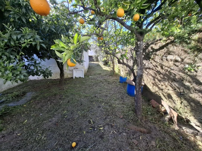 Moradia T2 para Venda em Alpalhão Foto 13