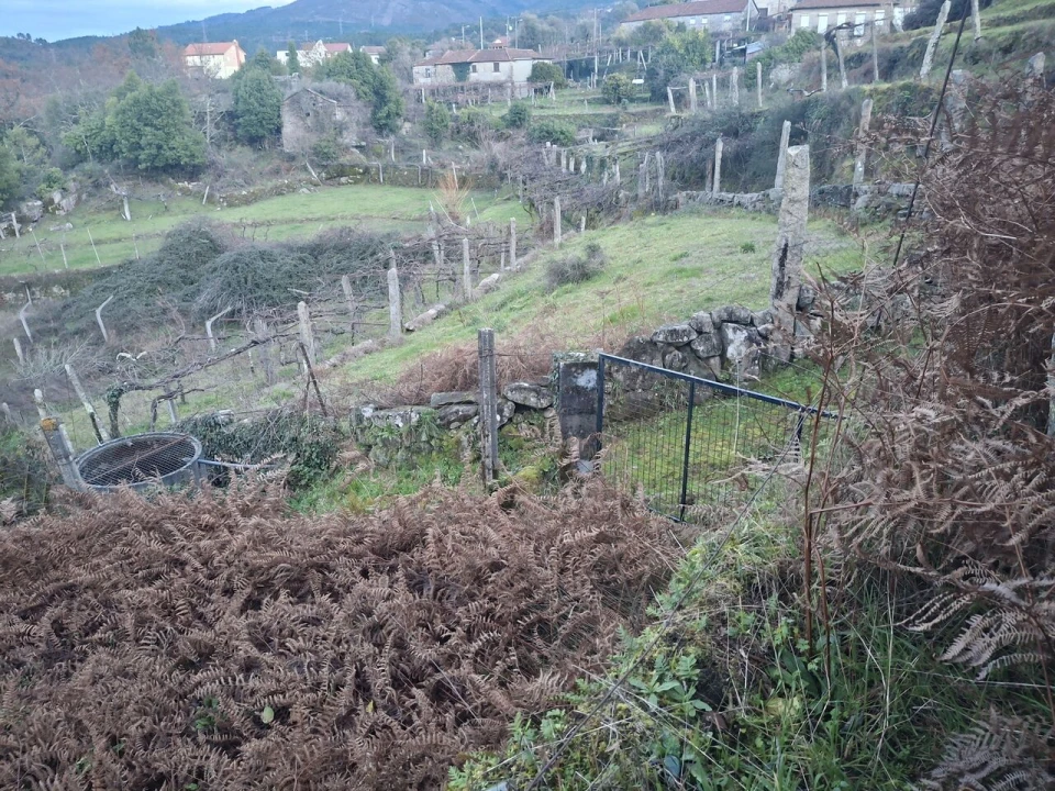 Moradia T2 para Venda em Merufe Foto 4