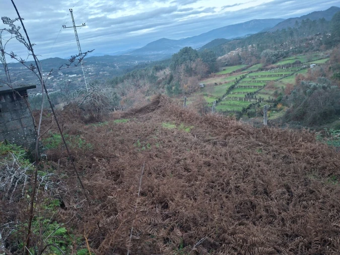 Moradia T2 para Venda em Merufe Foto 3