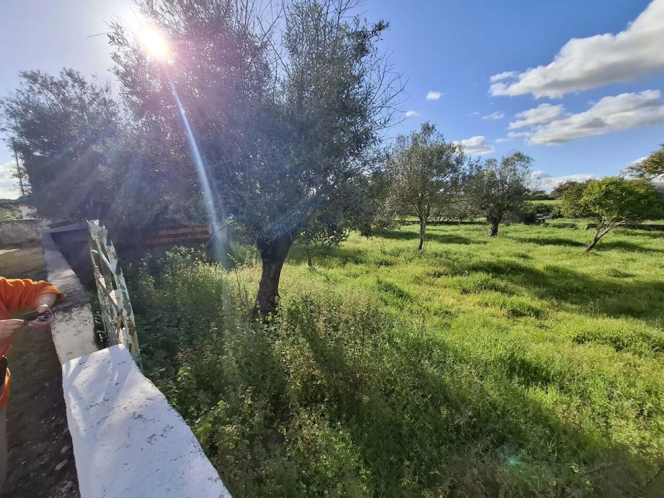 Quinta T0 para Venda em Alpalhão Foto 3