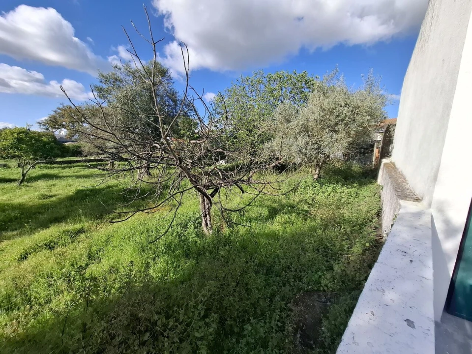 Quinta T0 para Venda em Alpalhão Foto 4