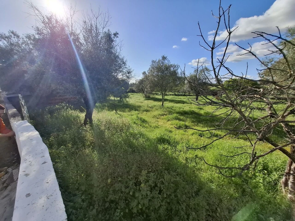 Quinta T0 para Venda em Alpalhão Foto 5