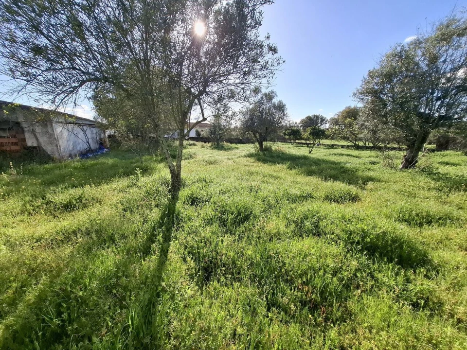 Quinta T0 para Venda em Alpalhão Foto 6