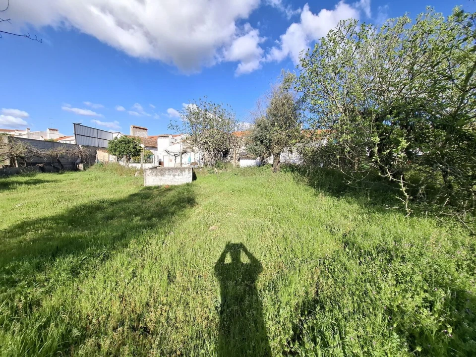 Quinta T0 para Venda em Alpalhão Foto 9