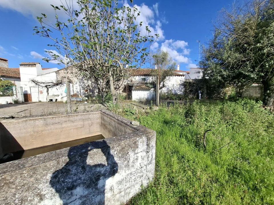 Quinta T0 para Venda em Alpalhão Foto 10