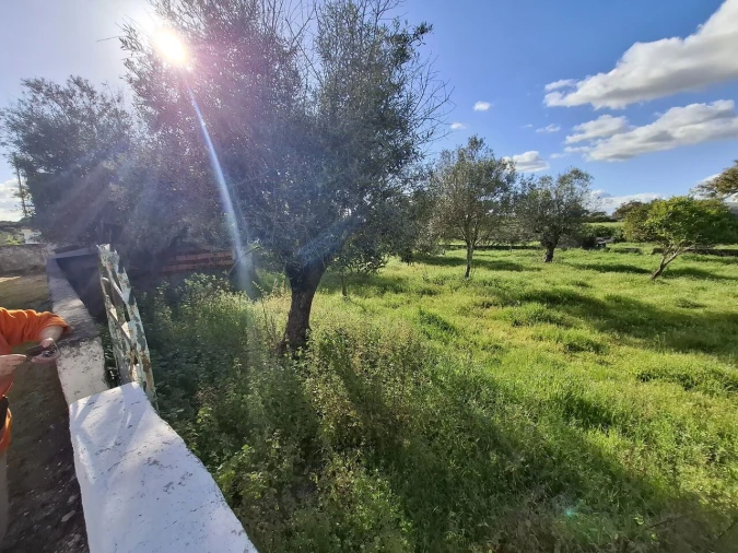 Quinta T0 para Venda em Alpalhão Foto 3