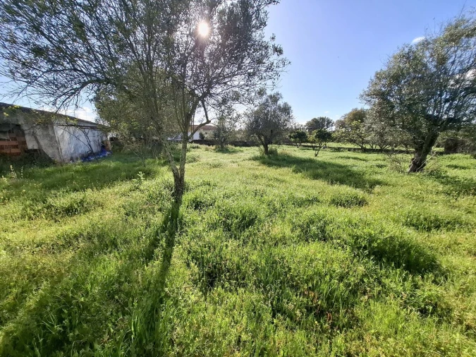 Quinta T0 para Venda em Alpalhão Foto 6