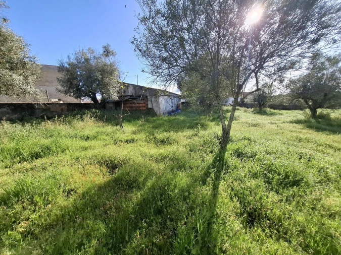 Quinta T0 para Venda em Alpalhão Foto 7