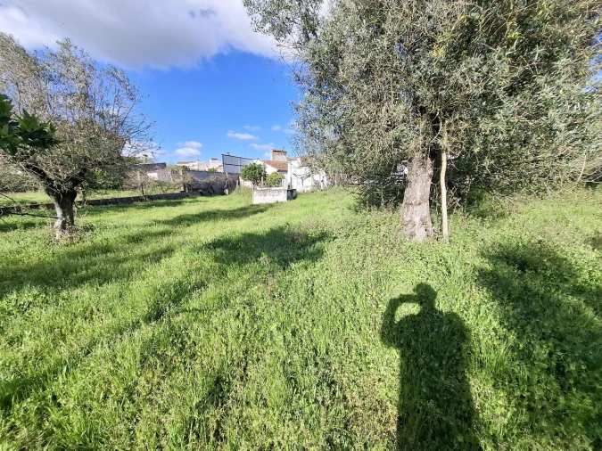 Quinta T0 para Venda em Alpalhão Foto 8