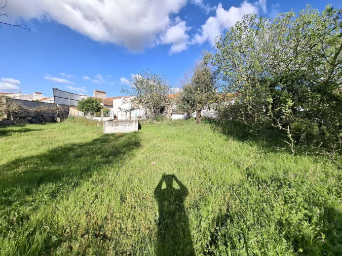 Quinta T0 para Venda em Alpalhão Foto 9