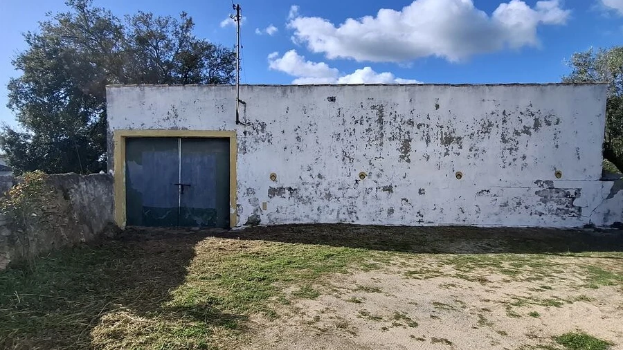 Quinta T0 para Venda em Alpalhão