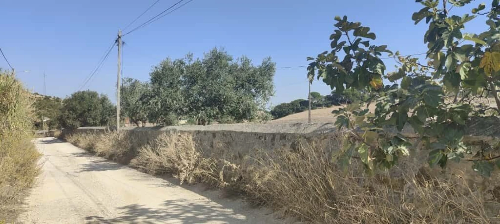 Terreno para Venda em Vila Franca de Xira Foto 12