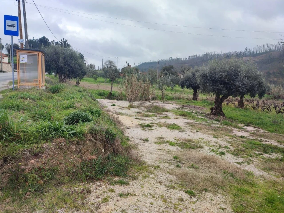 Terreno para Venda em Urqueira Foto 9
