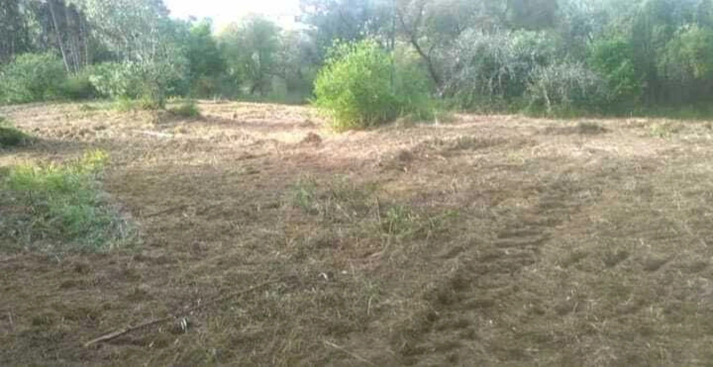 Terreno para Venda em Urqueira Foto 5