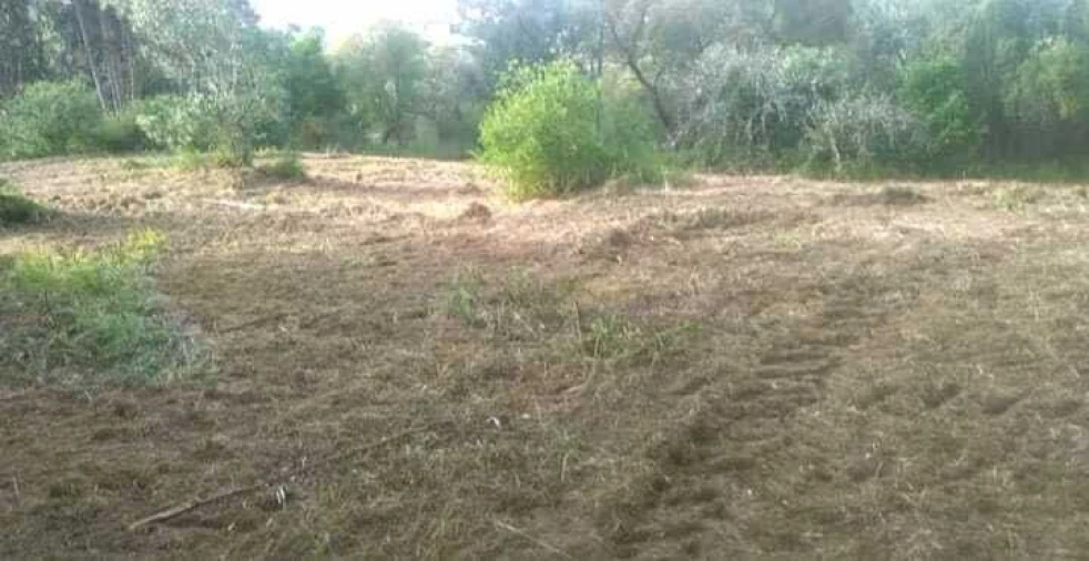 Terreno para Venda em Urqueira Foto 7