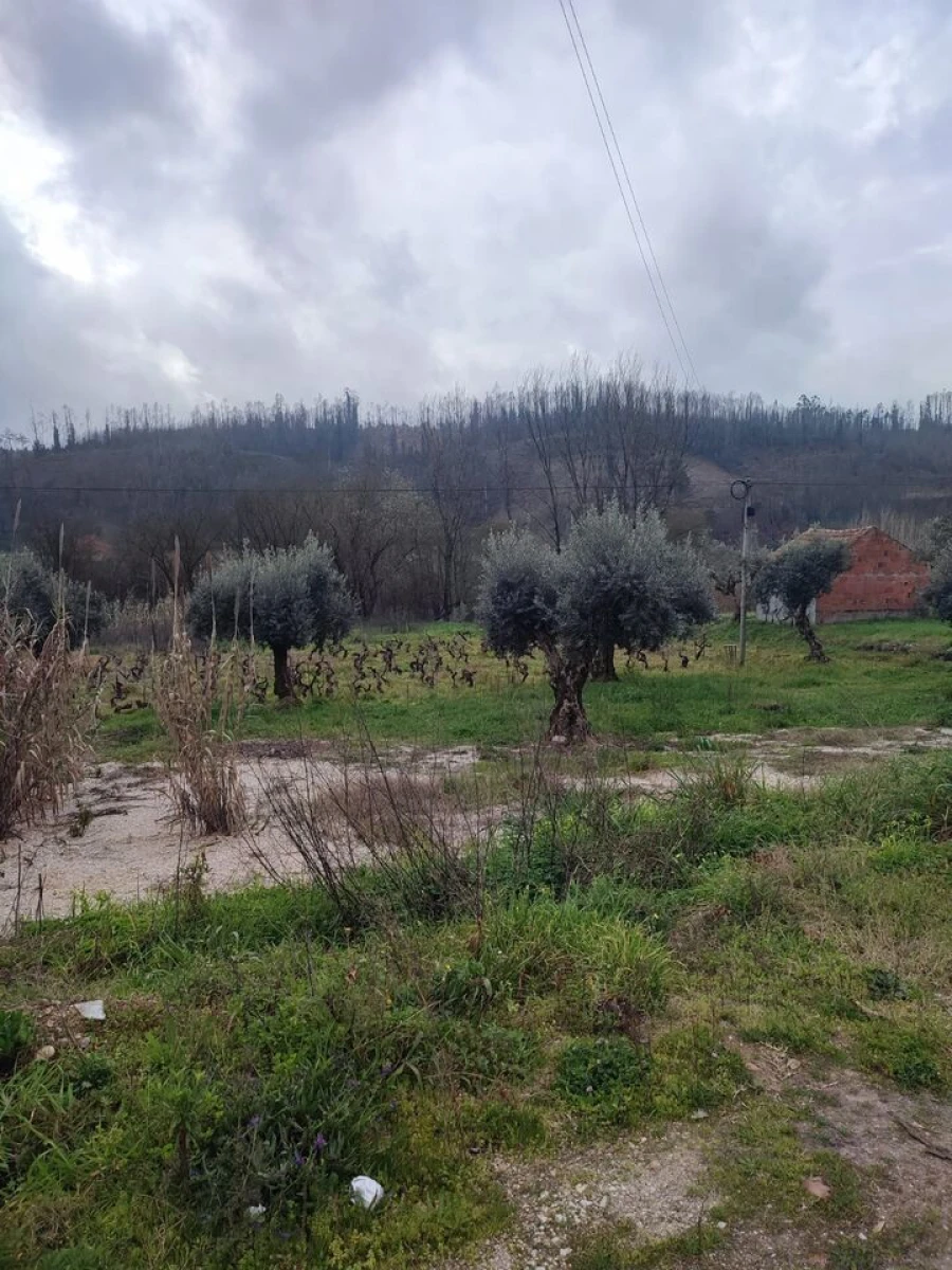 Terreno para Venda em Urqueira Foto 10