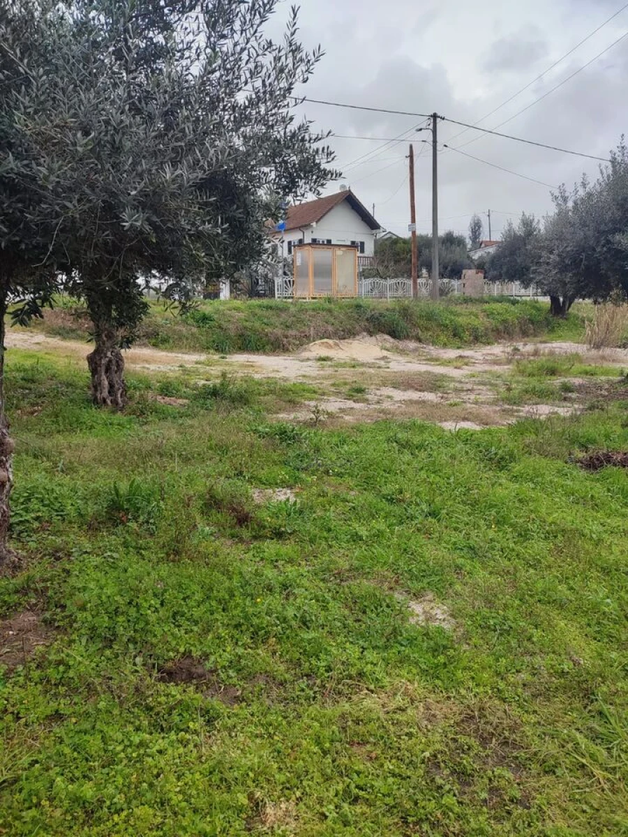 Terreno para Venda em Urqueira Foto 11