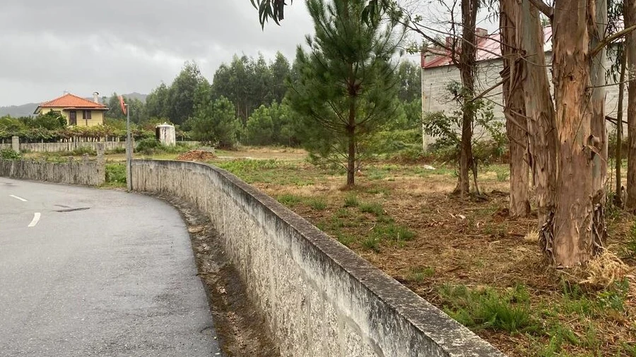 Terreno para Venda em Bela