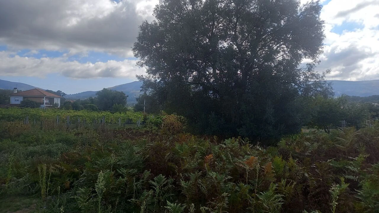 Moradia T2 para Venda em Moreira Foto 2