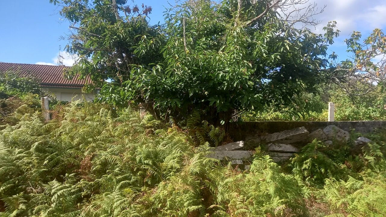 Moradia T2 para Venda em Moreira Foto 3