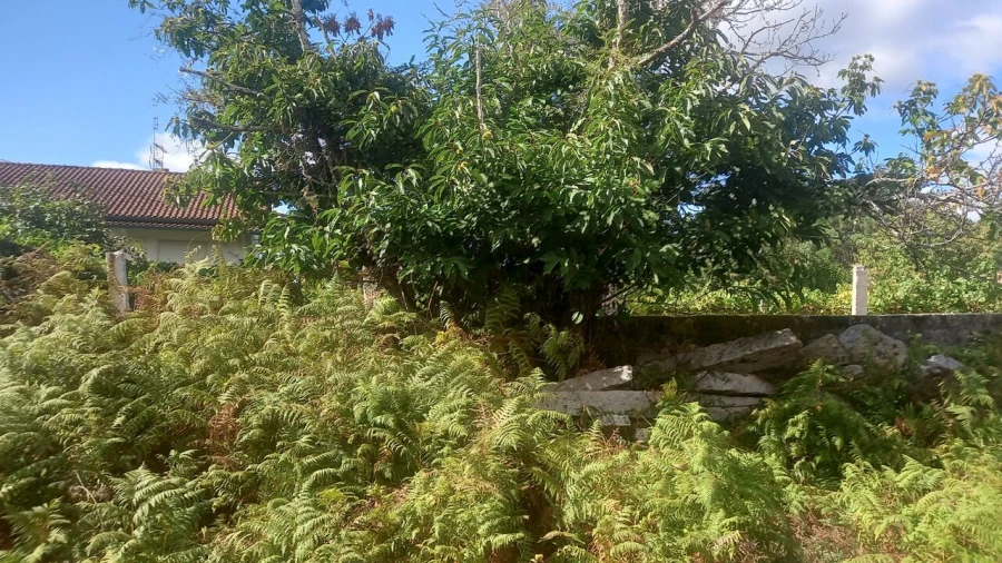 Moradia T2 para Venda em Moreira Foto 3