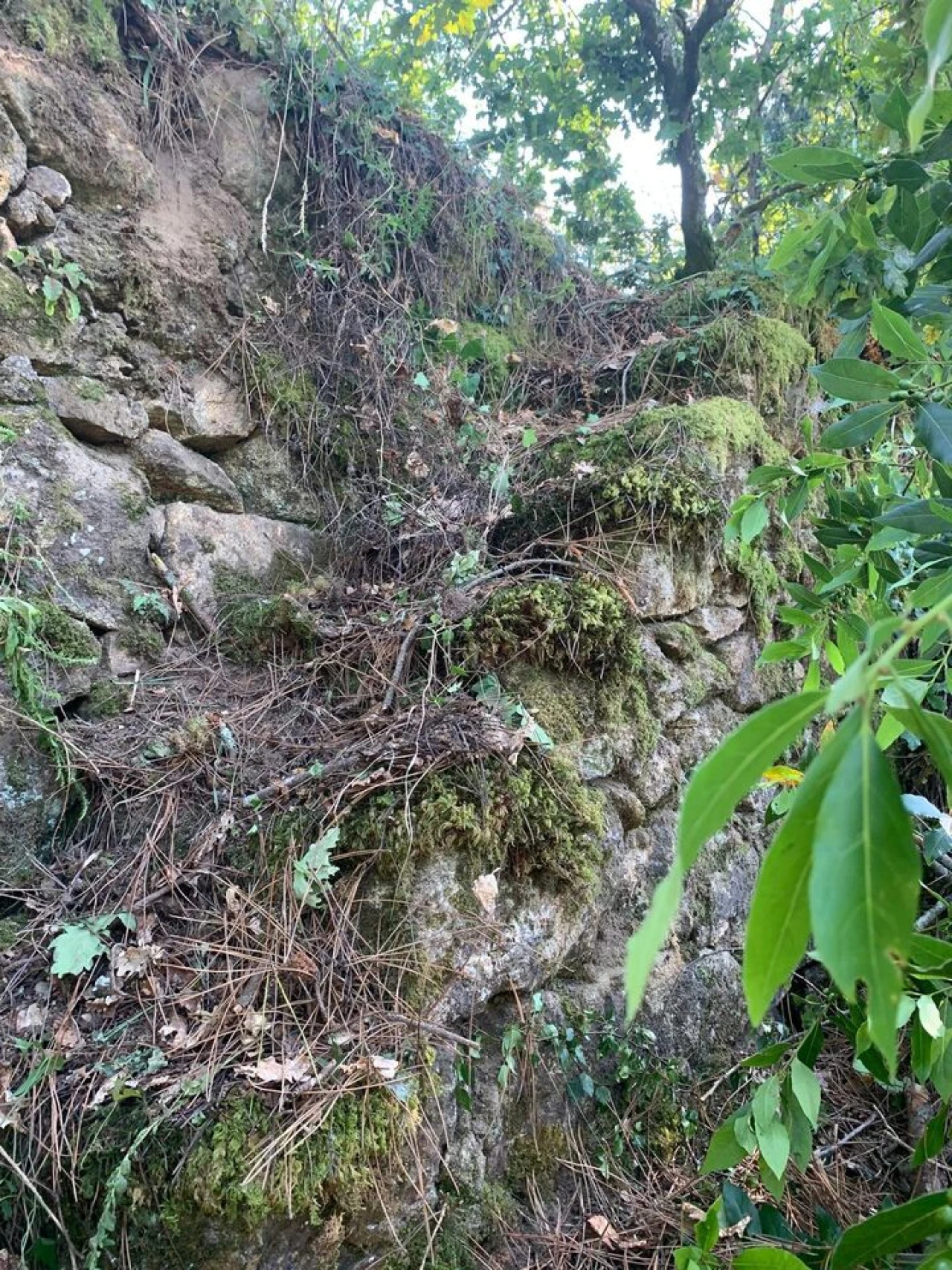 Quinta T6 para Venda em Penso Foto 3