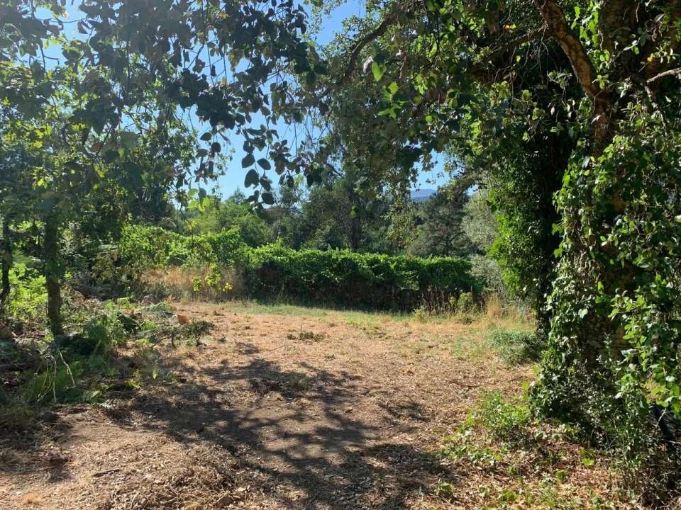 Quinta T6 para Venda em Penso Foto 15