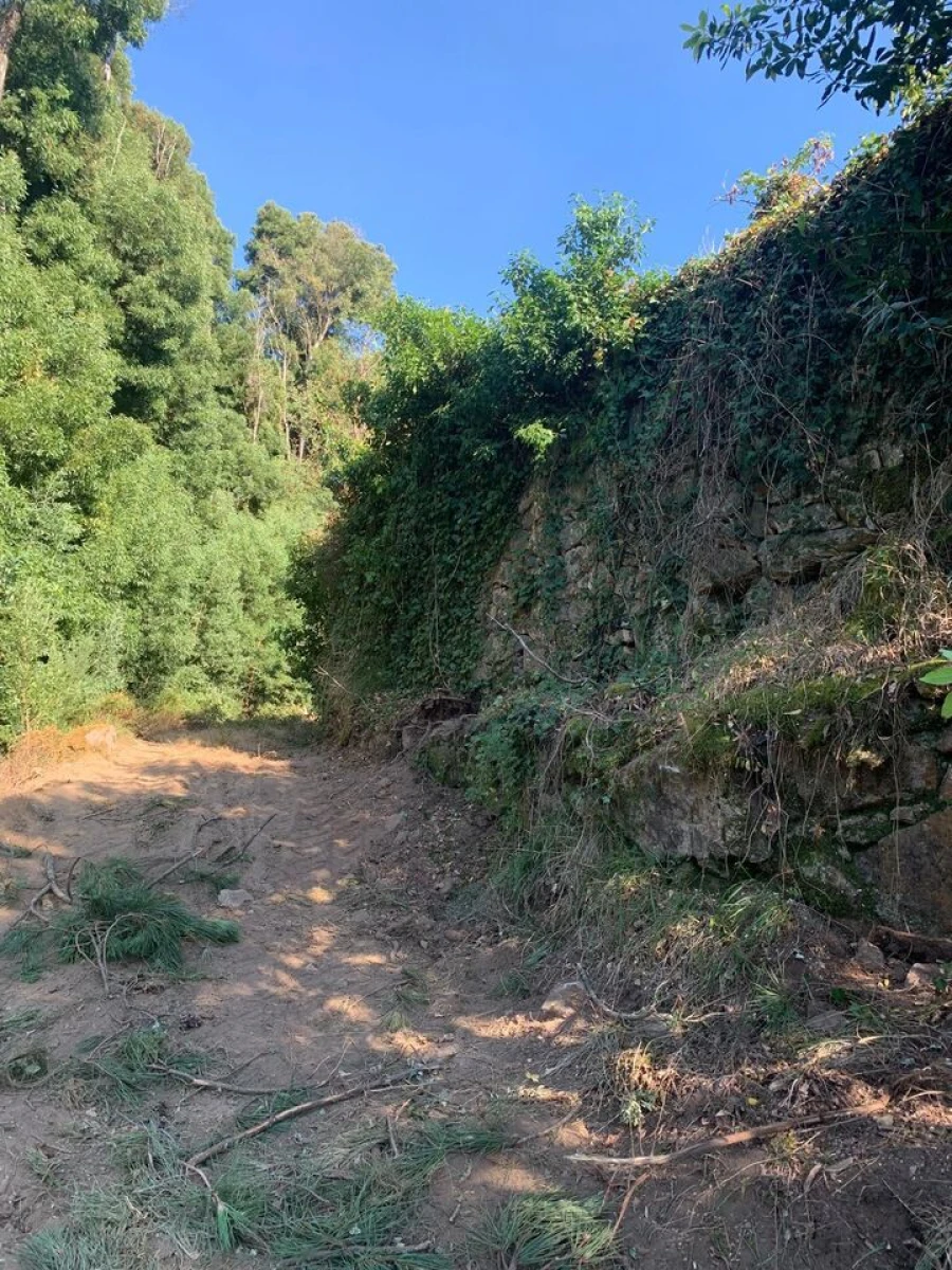 Quinta T6 para Venda em Penso Foto 4