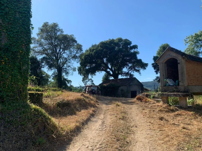 Quinta T6 para Venda em Penso Foto 6