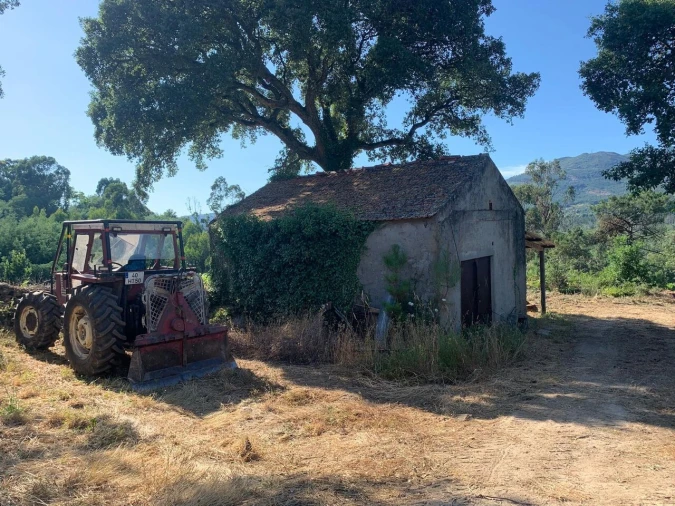 Quinta T6 para Venda em Penso Foto 7