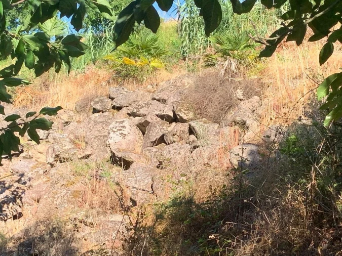 Quinta T6 para Venda em Penso Foto 9