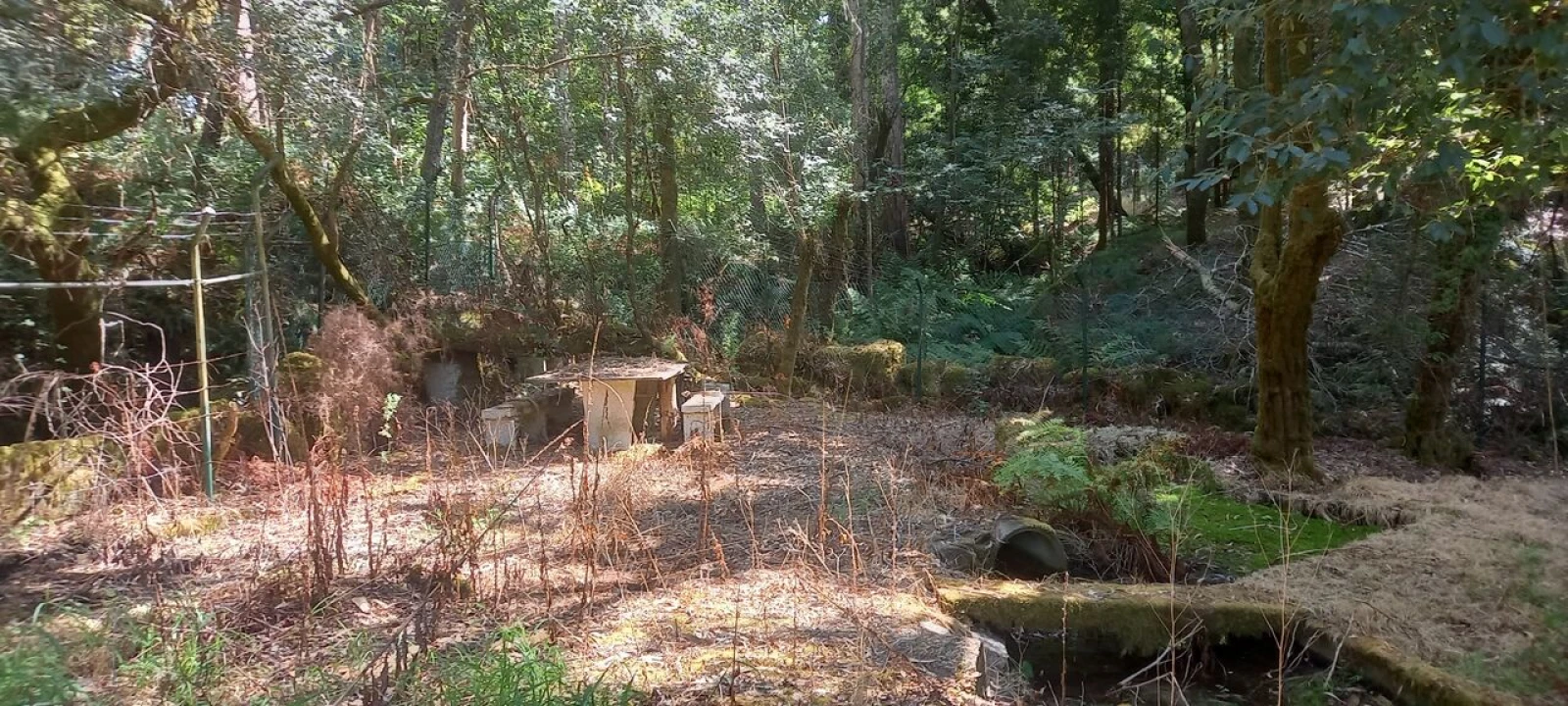 Terreno para Venda em Friestas Foto 5