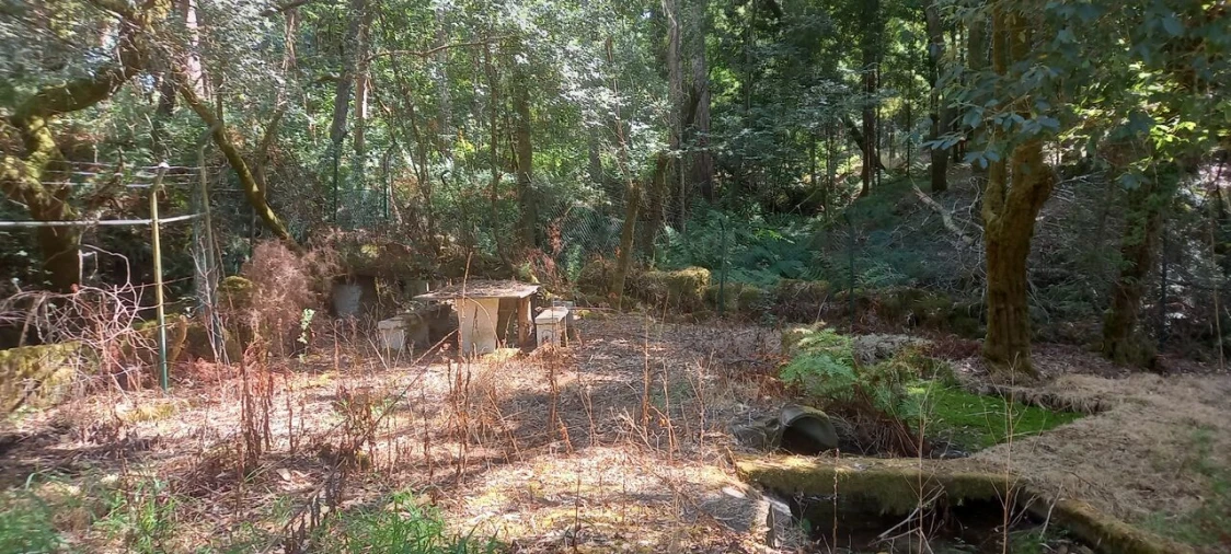 Terreno para Venda em Friestas Foto 5