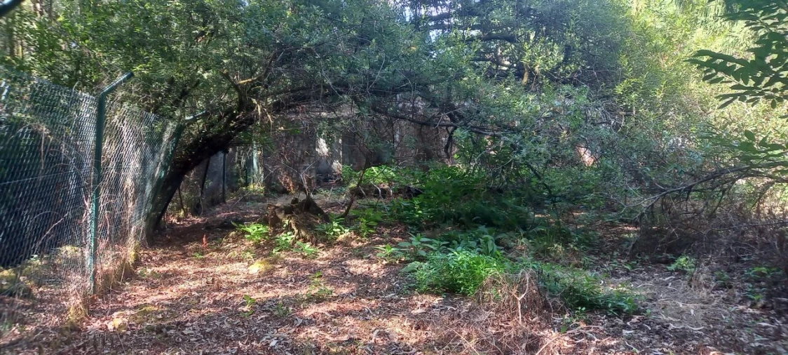 Terreno para Venda em Friestas Foto 6