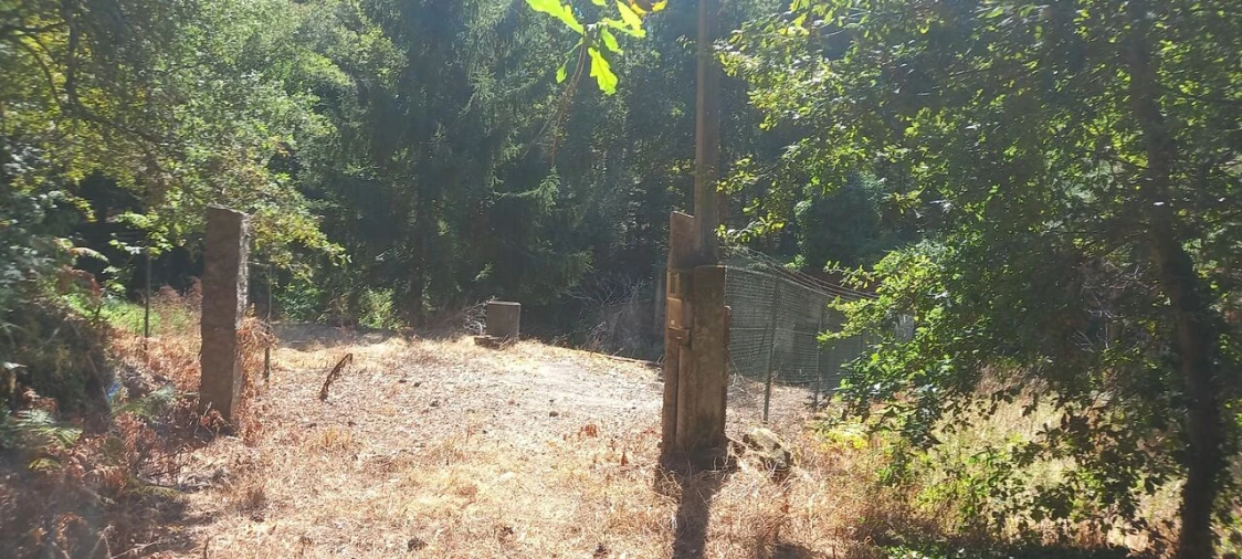 Terreno para Venda em Friestas