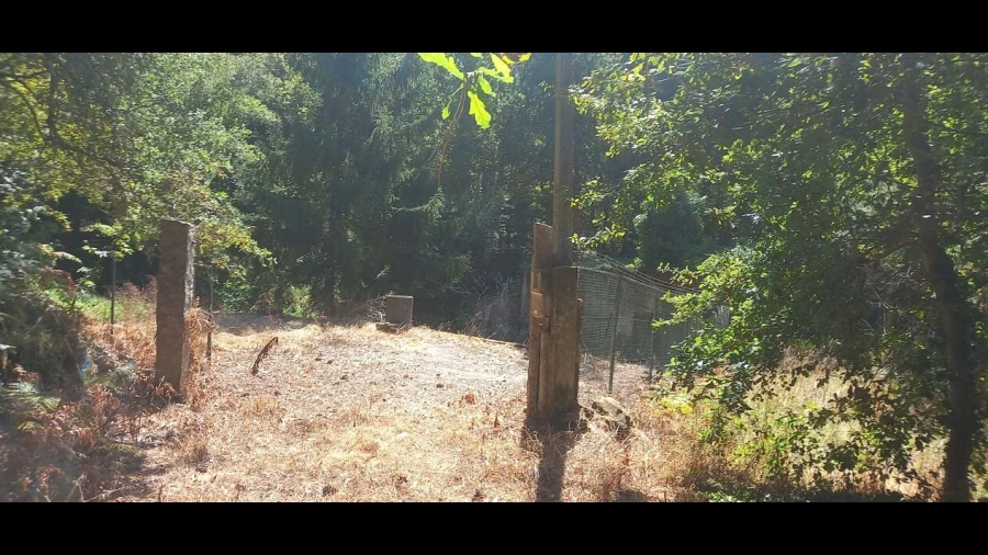 Terreno para Venda em Friestas