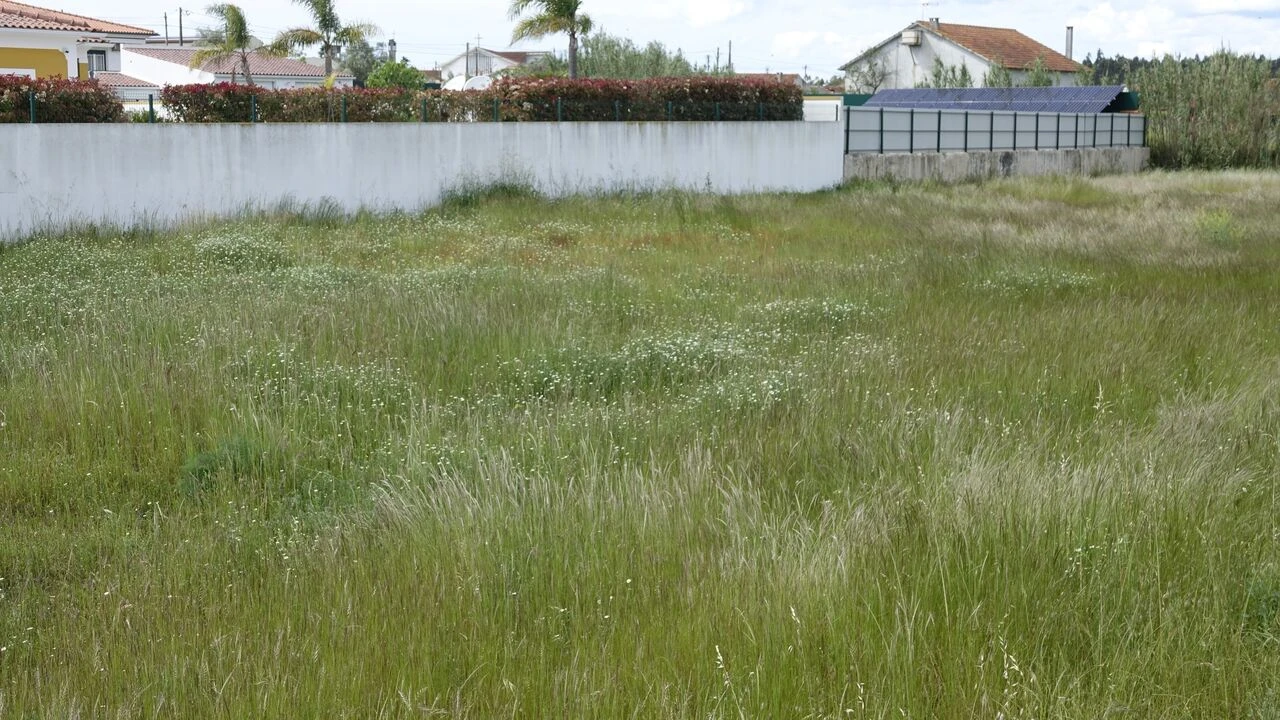 Terreno para Venda em Marinha Grande Foto 11